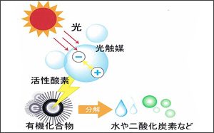 除甲醛原理